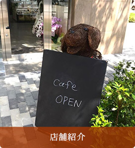 店舗紹介
